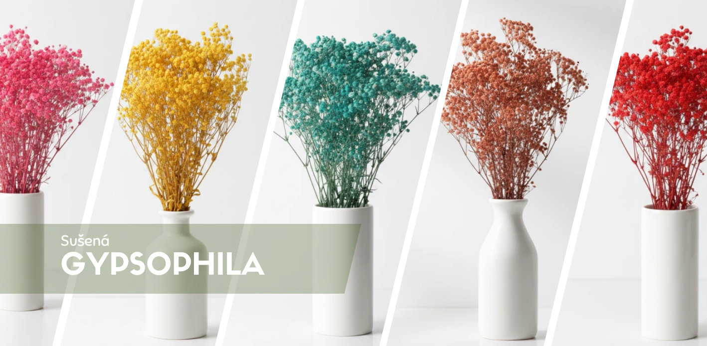 Stabilizovaná gypsophila – nevěstin závoj pro dekorace a svatební aranžmá